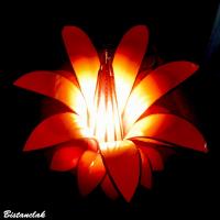 Lampe fleur personnalisée création artisanale sur mesure